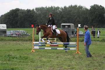 Bild 1344 - WBO-Turnier am 18.9.11